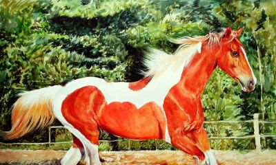 一马当先——夏欢欢 水彩动物欣赏 - 图画吧TUHUABA