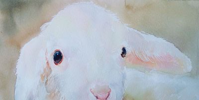 一马当先——夏欢欢 水彩动物欣赏 - 图画吧TUHUABA