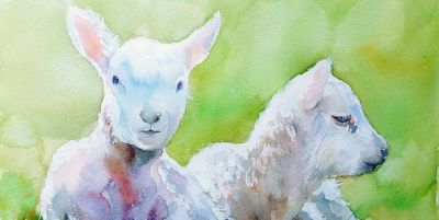 一马当先——夏欢欢 水彩动物欣赏 - 图画吧TUHUABA