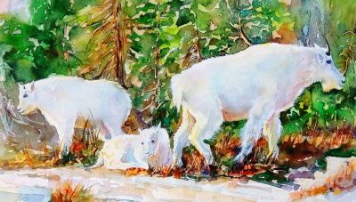 一马当先——夏欢欢 水彩动物欣赏 - 图画吧TUHUABA