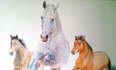 一马当先——夏欢欢 水彩动物欣赏 - 图画吧TUHUABA