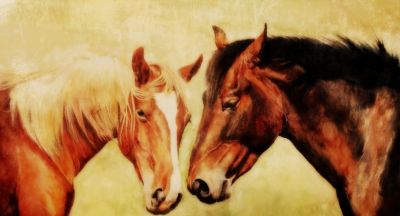 一马当先——夏欢欢 水彩动物欣赏 - 图画吧TUHUABA