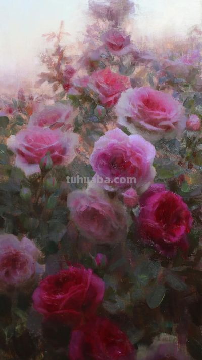 Daniel Keys静物花卉油画作品选 - 图画吧TUHUABA