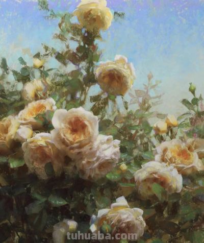 Daniel Keys静物花卉油画作品选 - 图画吧TUHUABA