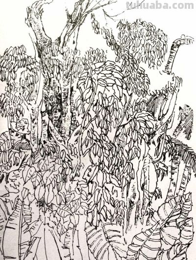 郑仁安 ||海南《南国威尼斯城》园林速写作品欣赏（8） - 图画吧TUHUABA