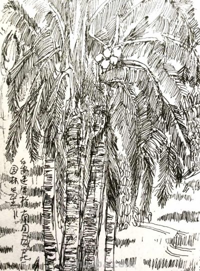 郑仁安 ||海南《南国威尼斯城》园林速写作品欣赏（8） - 图画吧TUHUABA