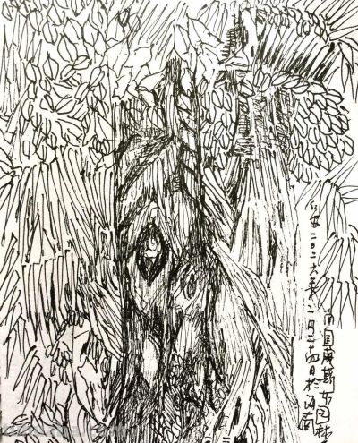 郑仁安 ||海南《南国威尼斯城》园林速写作品欣赏（8） - 图画吧TUHUABA