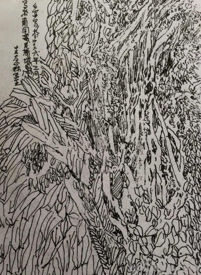 郑仁安 ||海南《南国威尼斯城》园林速写作品欣赏（8） - 图画吧TUHUABA