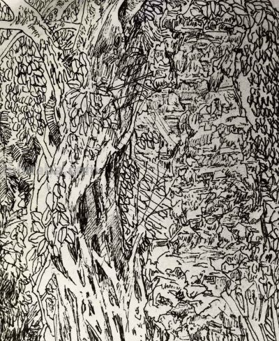 郑仁安 ||海南《南国威尼斯城》园林速写作品欣赏（8） - 图画吧TUHUABA