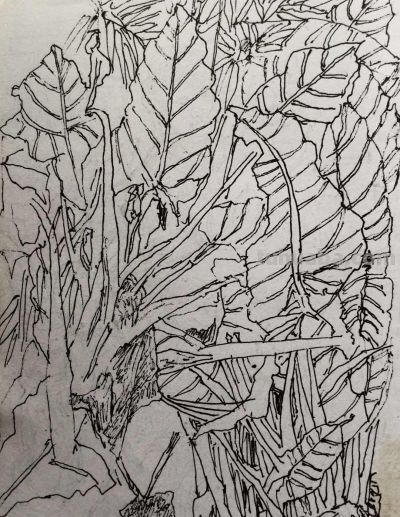 郑仁安 ||海南《南国威尼斯城》园林速写作品欣赏（8） - 图画吧TUHUABA