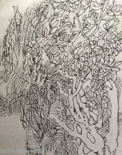 郑仁安 ||海南《南国威尼斯城》园林速写作品欣赏（8） - 图画吧TUHUABA