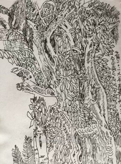 郑仁安 ||海南《南国威尼斯城》园林速写作品欣赏（8） - 图画吧TUHUABA