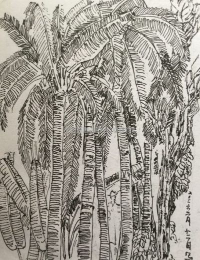 郑仁安 ||海南《南国威尼斯城》园林速写作品欣赏（8） - 图画吧TUHUABA