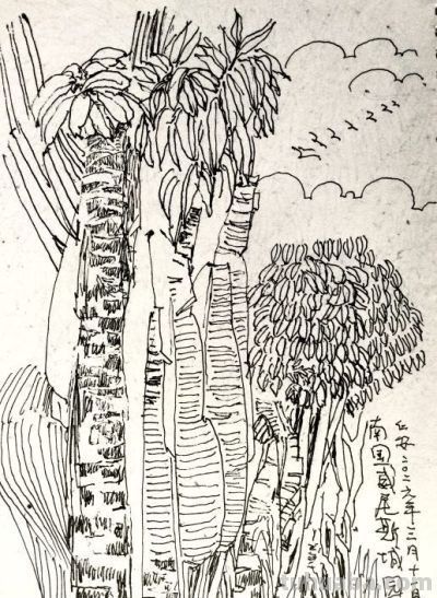 郑仁安 ||海南《南国威尼斯城》园林速写作品欣赏（8） - 图画吧TUHUABA
