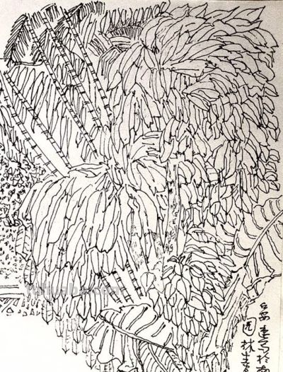 郑仁安 ||海南《南国威尼斯城》园林速写作品欣赏（8） - 图画吧TUHUABA