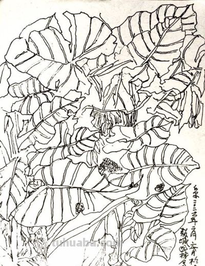 郑仁安 ||海南《南国威尼斯城》园林速写作品欣赏（8） - 图画吧TUHUABA