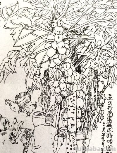 郑仁安 ||海南《南国威尼斯城》园林速写作品欣赏（8） - 图画吧TUHUABA