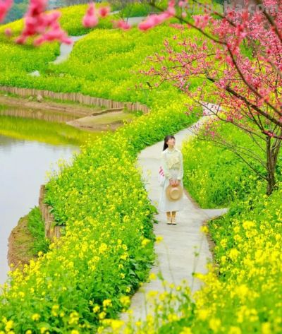 春日摄影干货｜8个技巧，教你拍出刷爆朋友圈的油菜花大片 - 图画吧TUHUABA