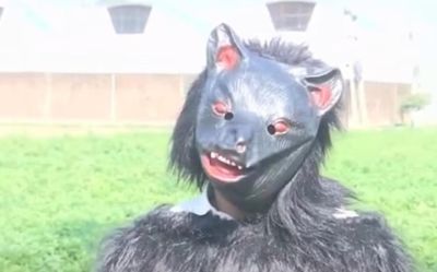 印度猴子偷土豆偷疯了!农民COS熊吓猴,可这画风 - 今日头条 印度猴子偷土豆偷疯了!农民COS熊吓猴,可这画风 - 图画吧TUHUABA