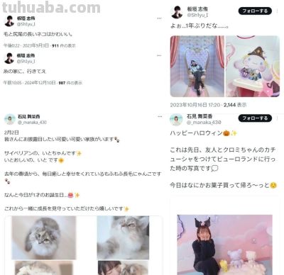 救命！曾经火遍二次元的声优偶像，怎么现在没人追了？ - 图画吧TUHUABA