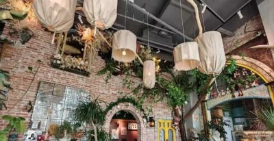 邂逅欧陆风情，品味宝山“食”光！2026“上海环球美食汇”宝山专属指南来啦 - 图画吧TUHUABA