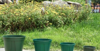 让家庭草莓种植更有趣 - 图画吧TUHUABA