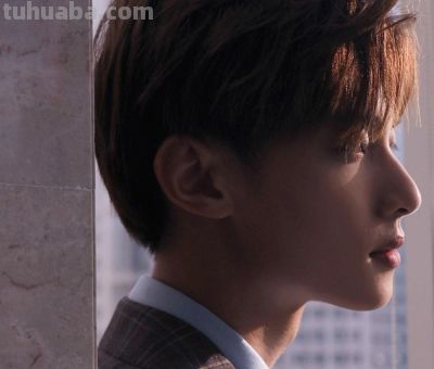 盘点玫瑰花语大全，让你了解玫瑰的涵义！ - 图画吧TUHUABA