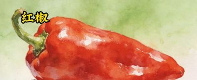 蔬菜单词启蒙萌趣蔬菜，欢乐跳跃！🥕🥦🥒🥔 - 今日头条