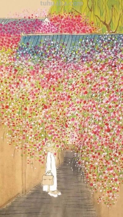 老树画画：春风入怀，有花初开 - 图画吧TUHUABA