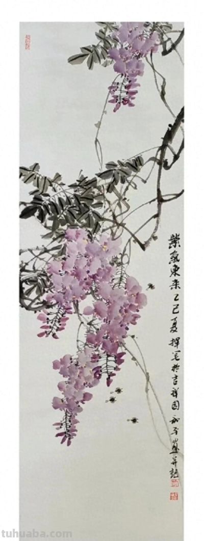 邓和平紫藤花16图欣赏，藤蔓缠绕，花香淡雅。 - 今日头条