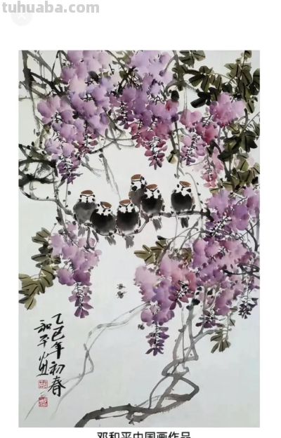 邓和平紫藤花16图欣赏，藤蔓缠绕，花香淡雅。 - 图画吧TUHUABA
