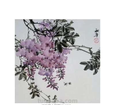 邓和平紫藤花16图欣赏，藤蔓缠绕，花香淡雅。 - 图画吧TUHUABA