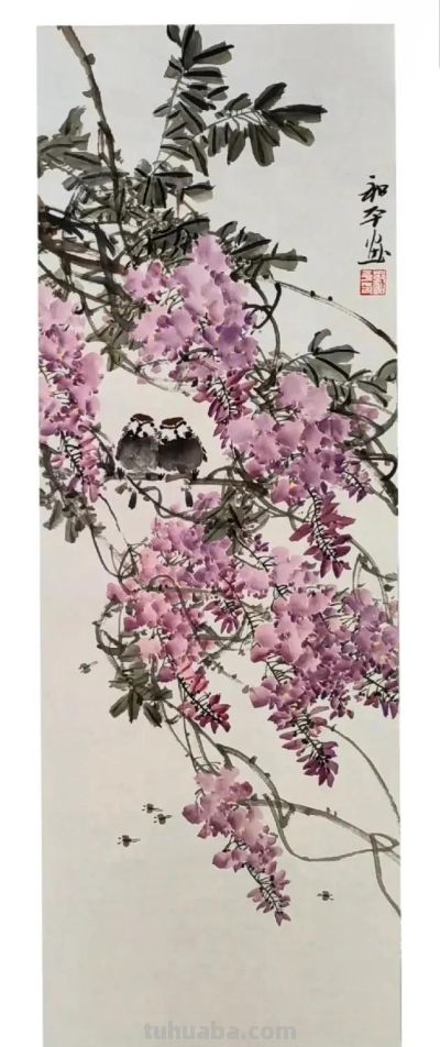 邓和平紫藤花16图欣赏，藤蔓缠绕，花香淡雅。 - 图画吧TUHUABA