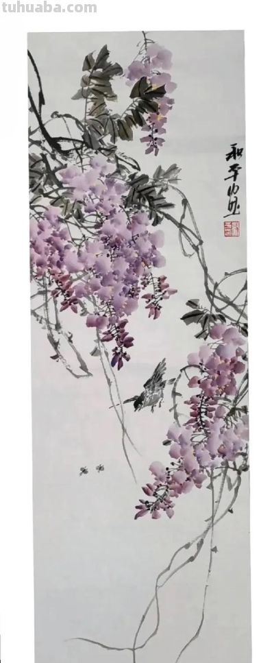 邓和平紫藤花16图欣赏，藤蔓缠绕，花香淡雅。 - 图画吧TUHUABA