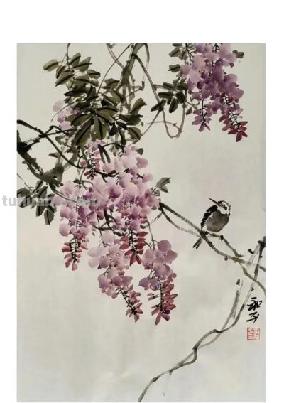邓和平紫藤花16图欣赏，藤蔓缠绕，花香淡雅。 - 图画吧TUHUABA