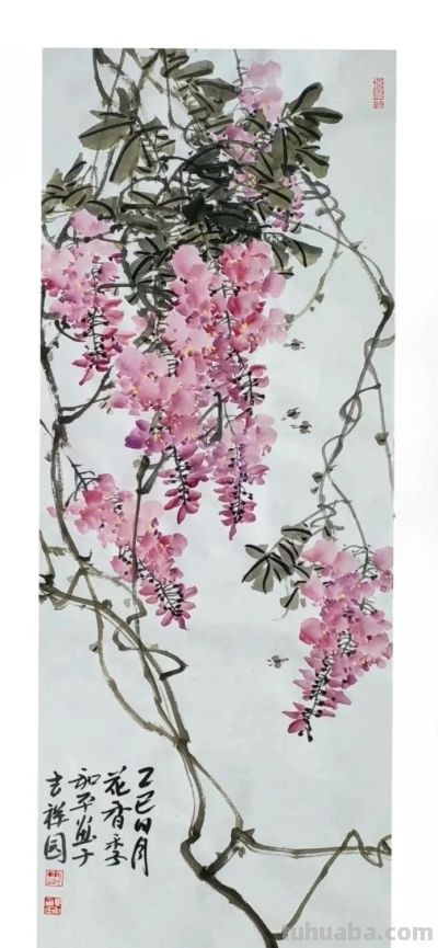 邓和平紫藤花16图欣赏，藤蔓缠绕，花香淡雅。 - 图画吧TUHUABA