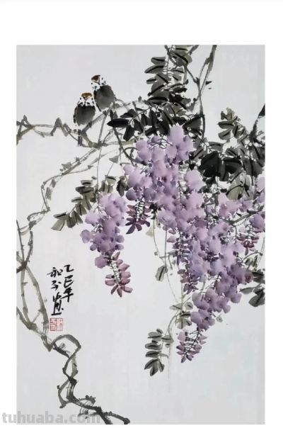 邓和平紫藤花16图欣赏，藤蔓缠绕，花香淡雅。 - 图画吧TUHUABA