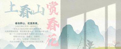 上春山·赏春花 ⑫｜雨润郁金香，是花画小镇藏不住的春日浪漫 - 今日头条