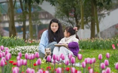 上春山·赏春花 ⑫｜雨润郁金香，是花画小镇藏不住的春日浪漫 - 图画吧TUHUABA