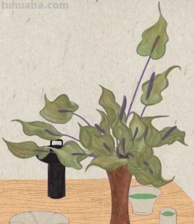 每天认识一个艺术家｜MoChen：让一朵花“说出心里话”的画家！ - 图画吧TUHUABA