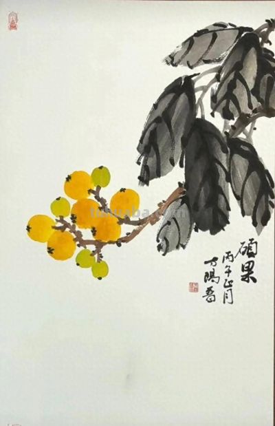 十一幅写意花鸟，去繁留真 ，简笔传神。 - 今日头条
