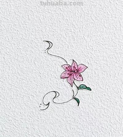 绘画作品｜分享一些小巧可爱の花草简笔画～ - 图画吧TUHUABA