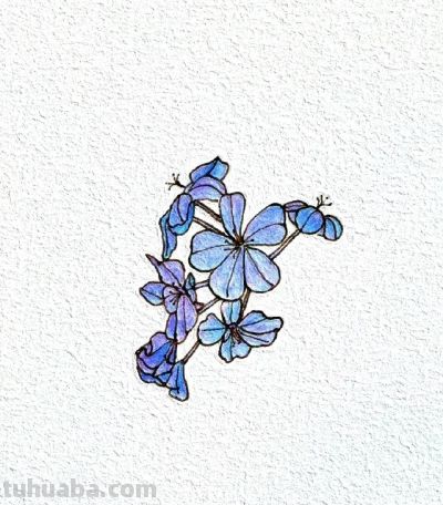 绘画作品｜分享一些小巧可爱の花草简笔画～ - 图画吧TUHUABA