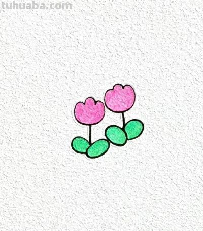 绘画作品｜分享一些小巧可爱の花草简笔画～ - 图画吧TUHUABA