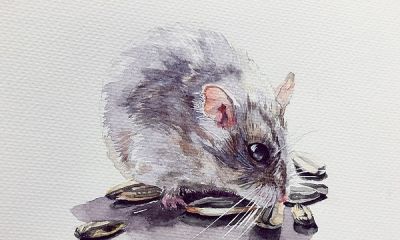 十年后提笔再画，这次玩水彩 - 图画吧TUHUABA