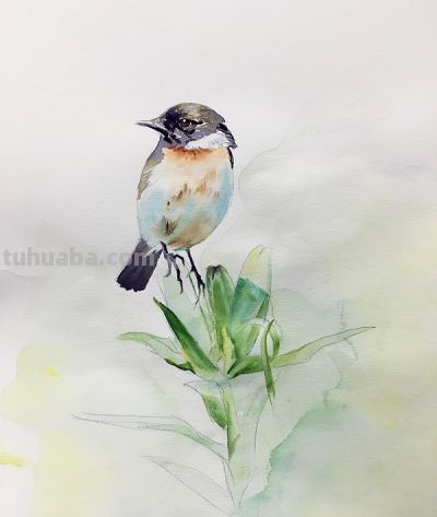 十年后提笔再画，这次玩水彩 - 图画吧TUHUABA