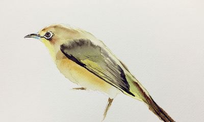 十年后提笔再画，这次玩水彩 - 图画吧TUHUABA