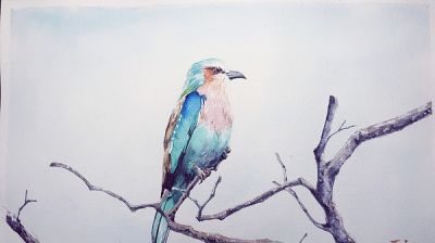 十年后提笔再画，这次玩水彩 - 图画吧TUHUABA