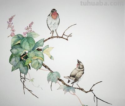 十年后提笔再画，这次玩水彩 - 图画吧TUHUABA