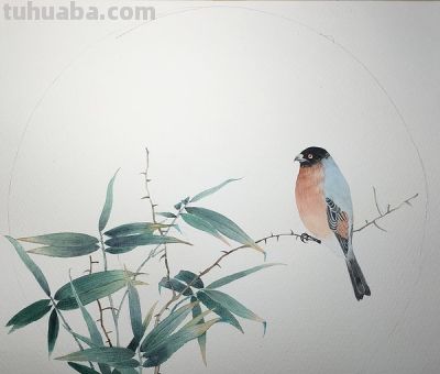 十年后提笔再画，这次玩水彩 - 图画吧TUHUABA